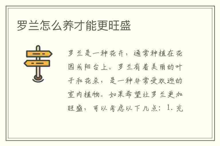 罗兰怎么养才能更旺盛(罗兰怎么养才能更旺盛呢)